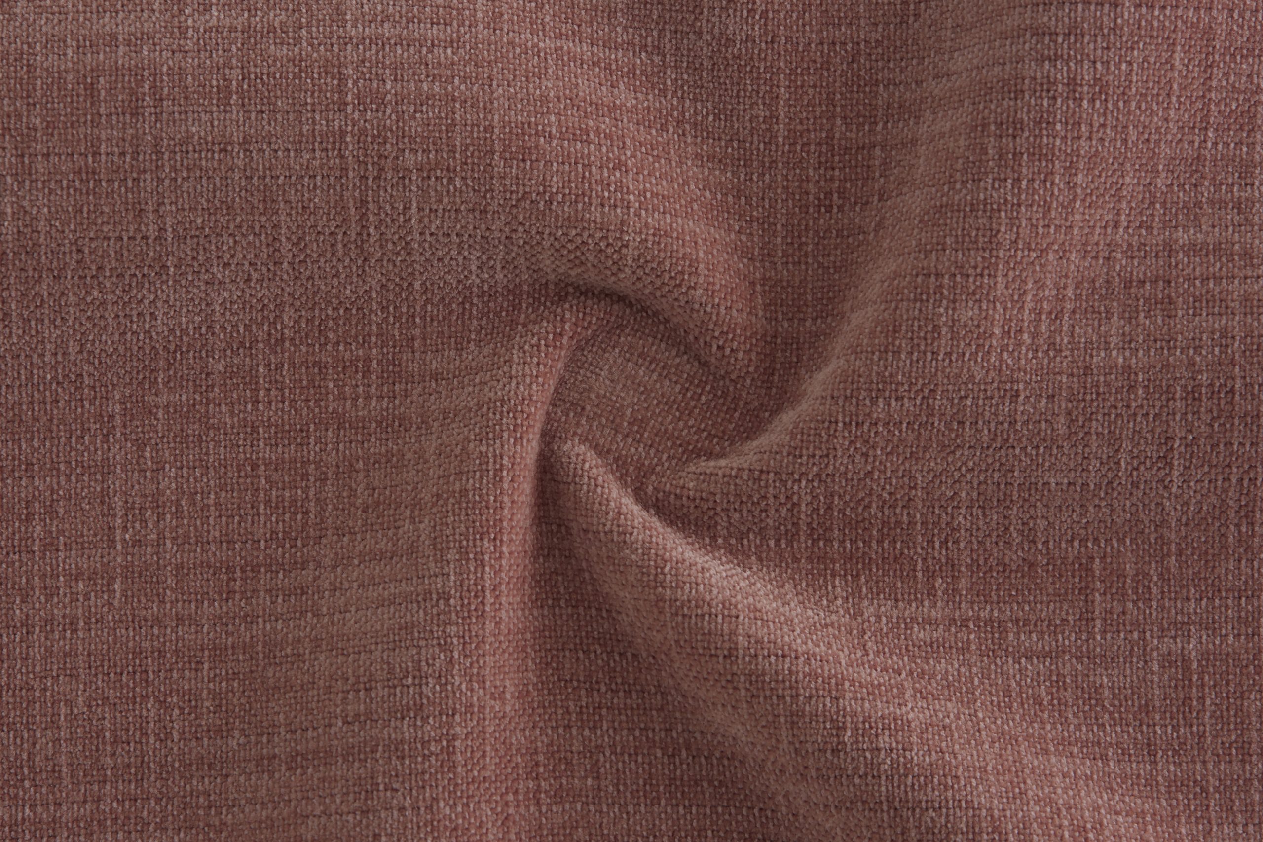 02 coral scaled