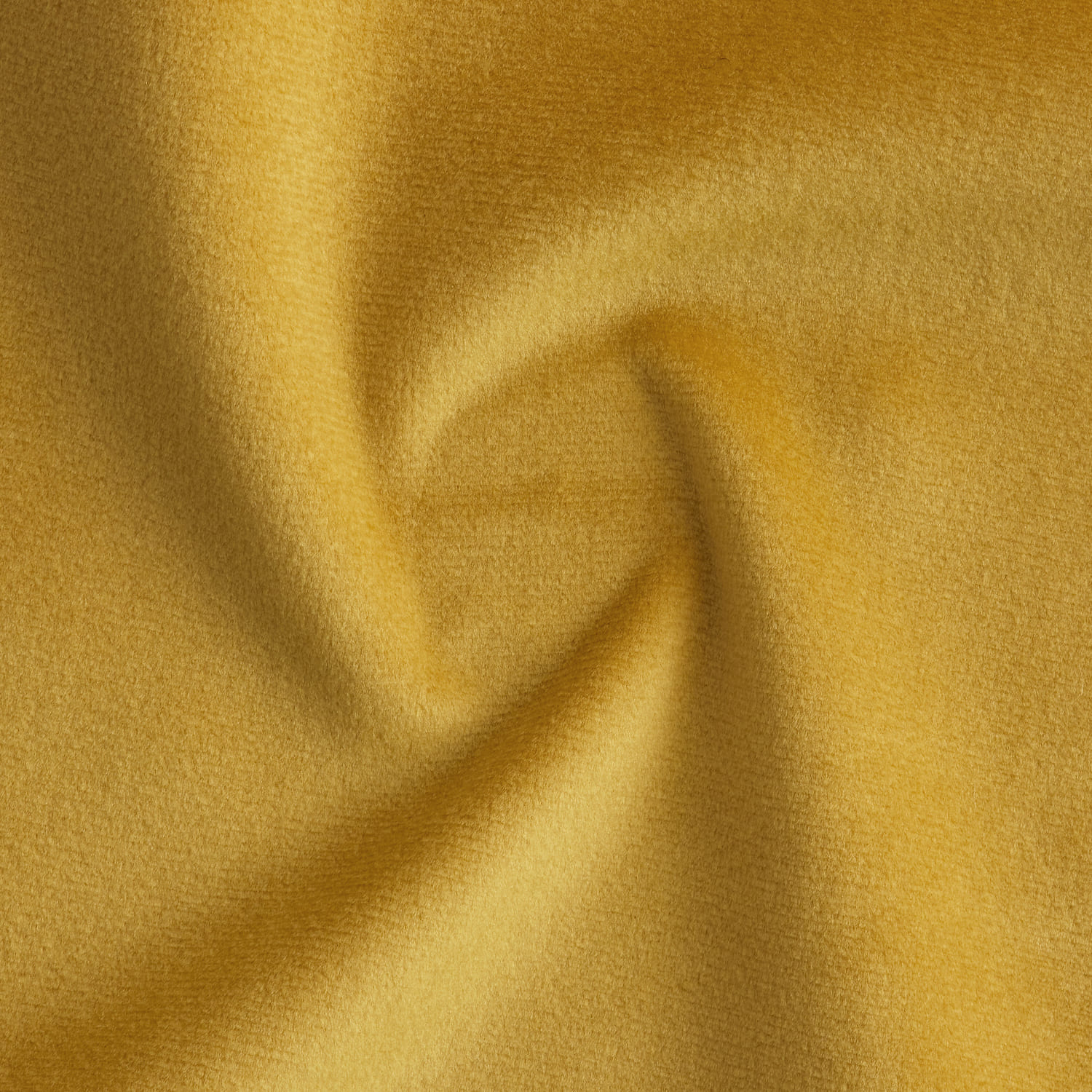 SK302 Mustard